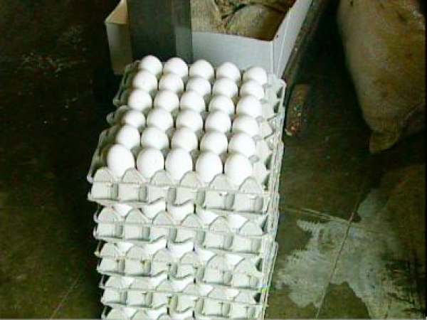 Vendedores de huevos se quejan por alzas en precio del producto