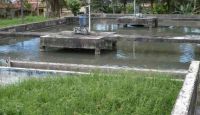 La población del municipio expresó temor a que se presenten brotes de enfermedades en la antigua planta que existía hace más de 25 años.