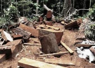Deforestación en Ocoa